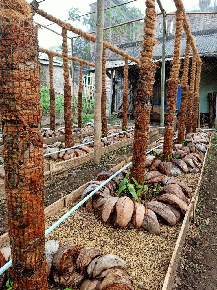 Coir agricultural application