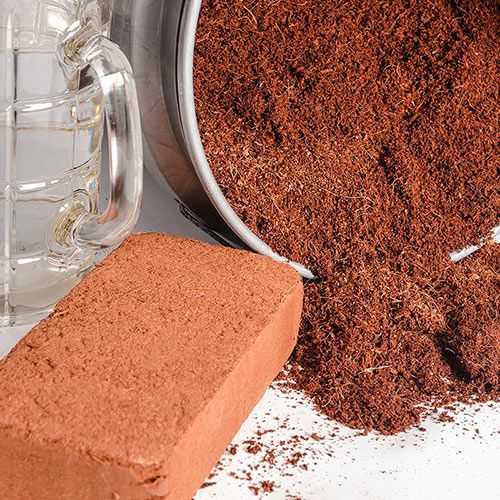Coco Peat Blocks