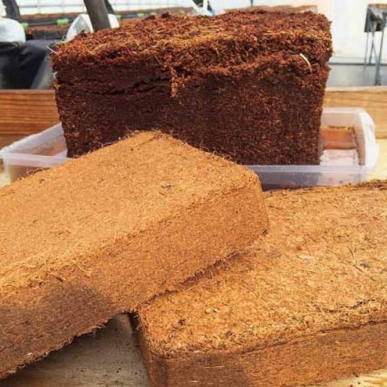 Coco Peat Blocks