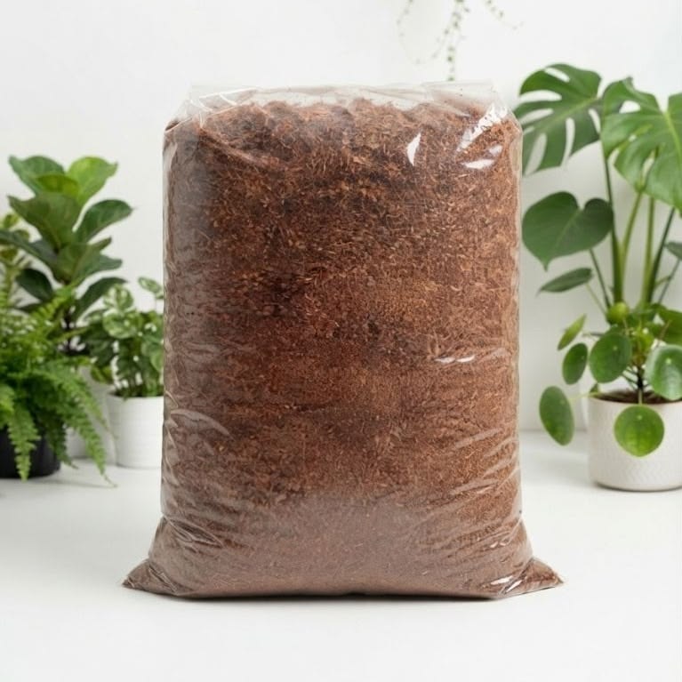 Coco Peat Powder