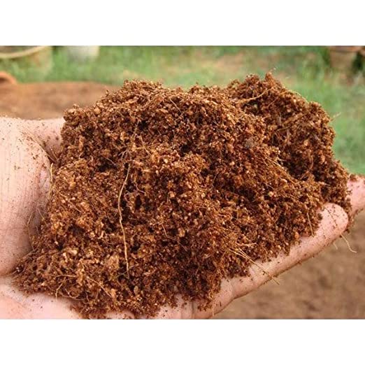 Coco Peat Powder