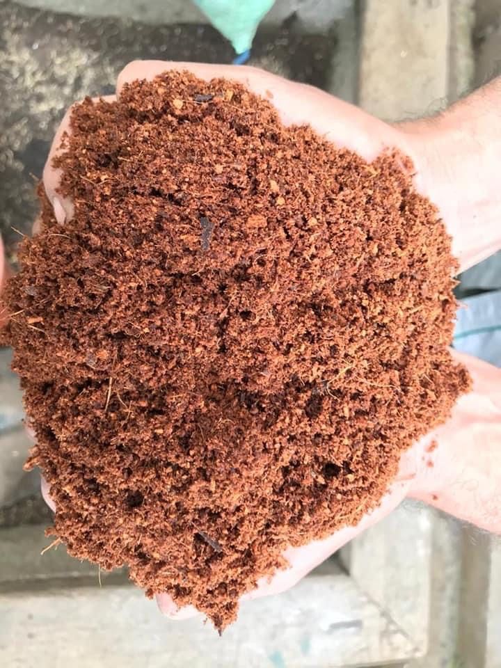 Coco Peat Powder