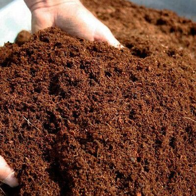 Coco Peat Powder