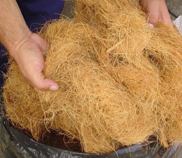 Coir Fiber
