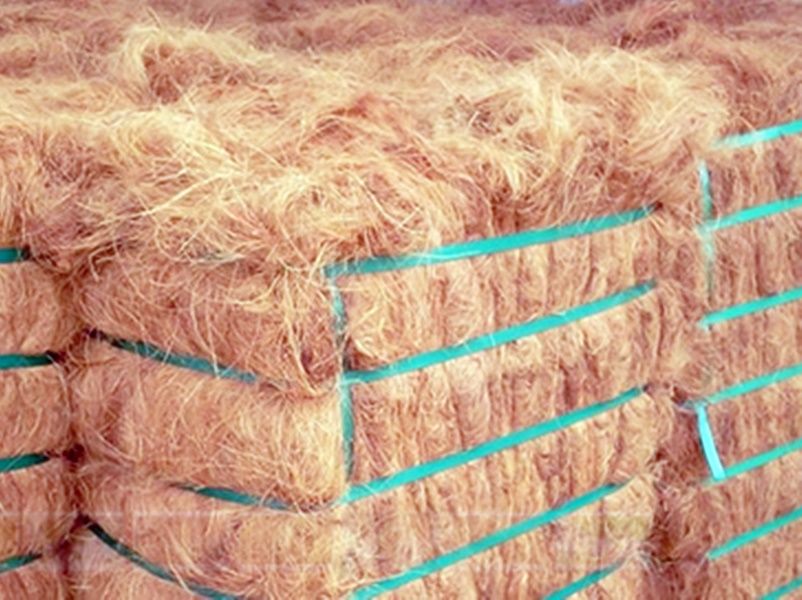 Coir Fiber